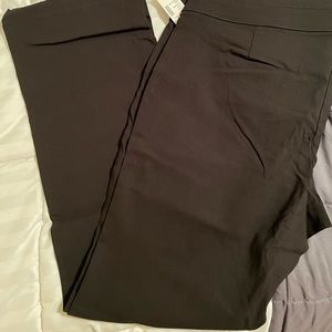 NWT pull on, boot cut pant